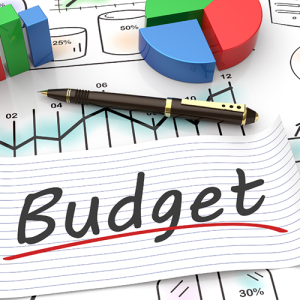Activity-Based Budgeting for Public Sector