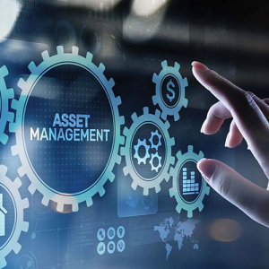 Asset Management Training Course