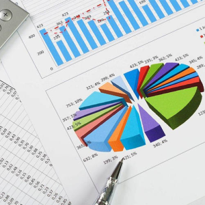 Advanced Government Accounting Course