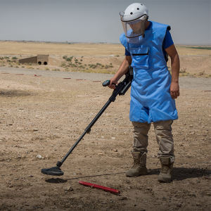 Mine Action Program Management