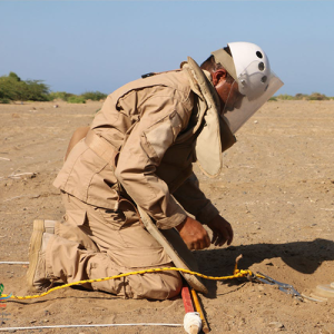 Humanitarian Mine Action Awareness Course