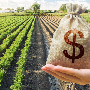 agribusiness finance and risk management