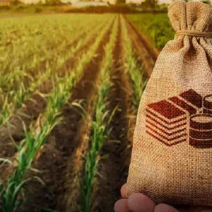 Agriculture Credit Analysis