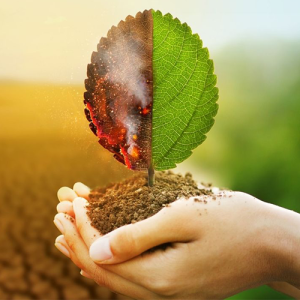 Environmental Impact Assessment Training Course