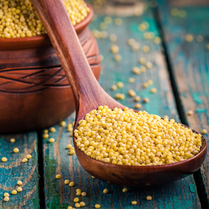 Grain Quality Analysis Training