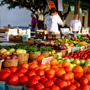 Value Chain Development