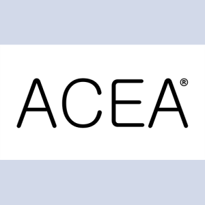 Advanced Certificate for the Executive Assistant