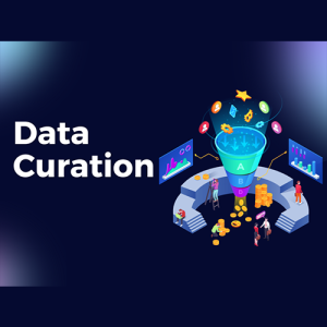data curation