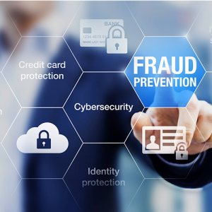 Corruption and Fraud Prevention in Public Procurement